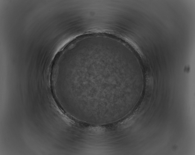 X0000091691023200708231435