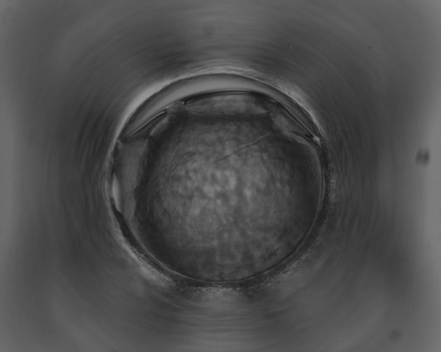 X0000091691024200708231435