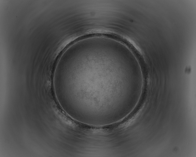 X0000091691025200708231435