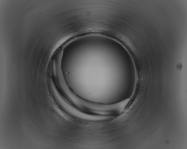 X0000091691026200708231435