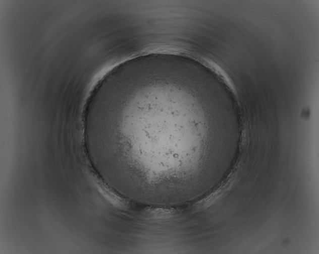X0000091691027200708231435