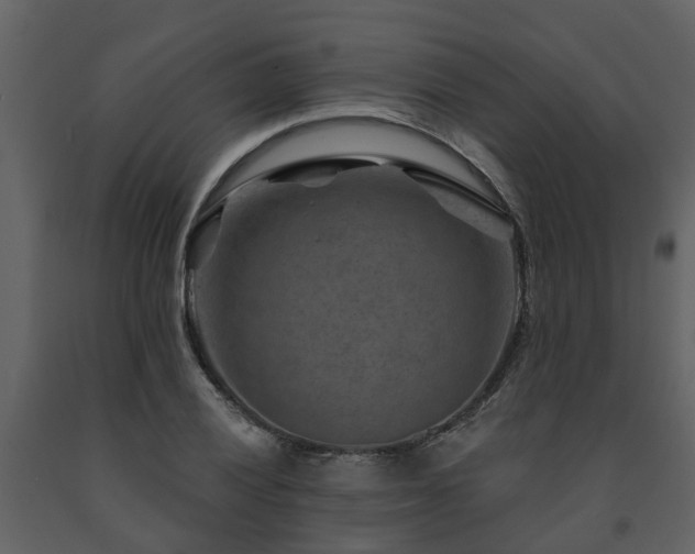 X0000091691028200708231435