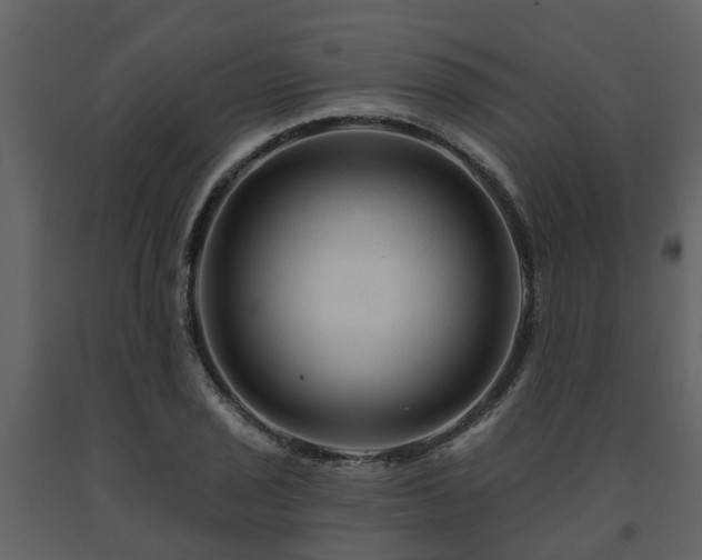 X0000091691029200708231435