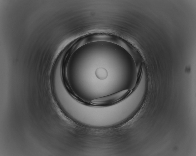 X0000091691030200708231435