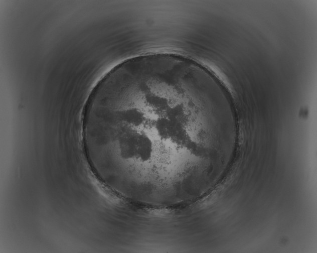 X0000091691031200708231435