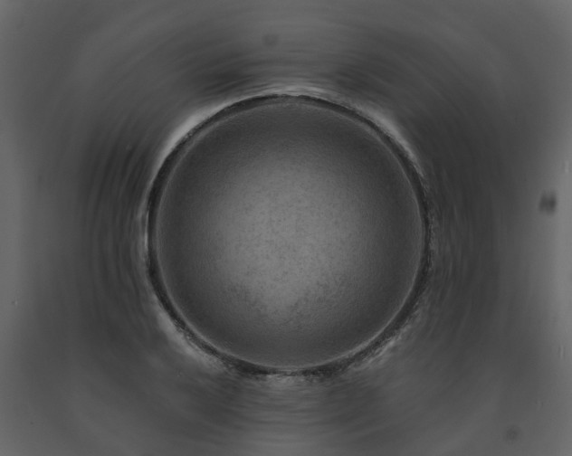 X0000091691032200708231435