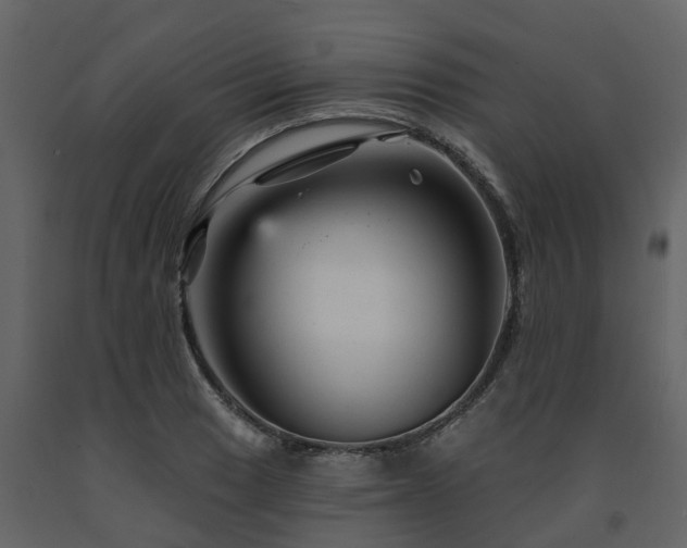 X0000091691033200708231435