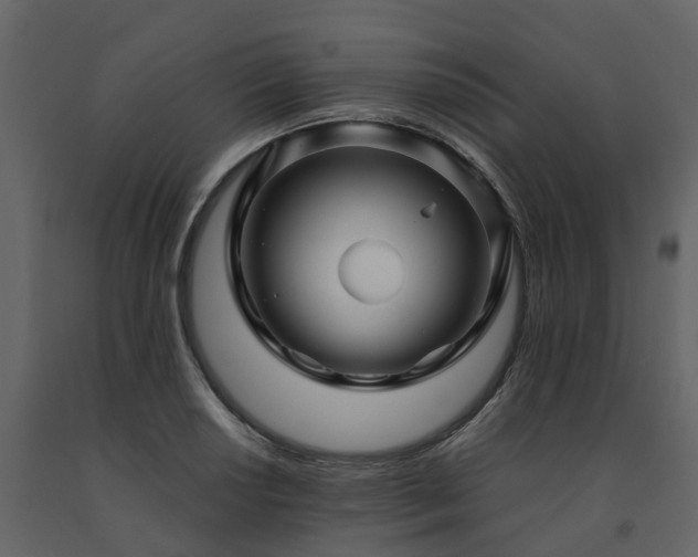 X0000091691034200708231435