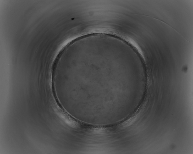 X0000091691035200708231435