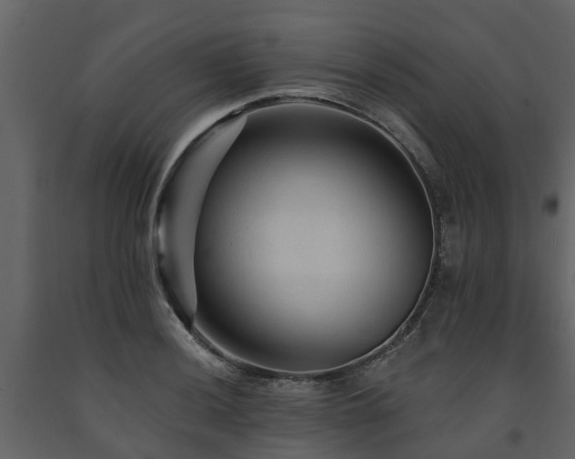 X0000091691036200708231435