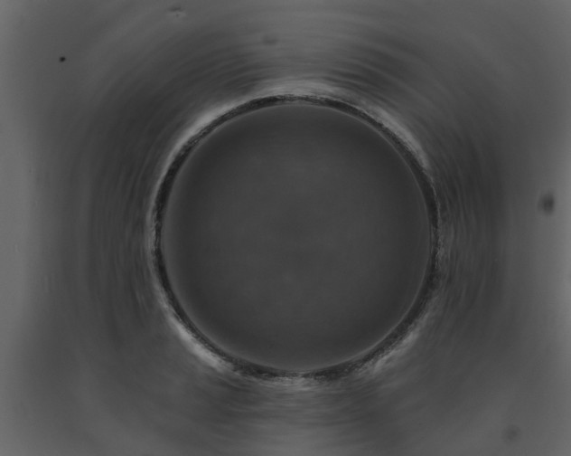 X0000091691037200708231435