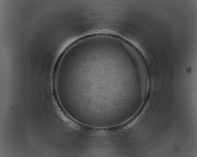 X0000091691038200708231435