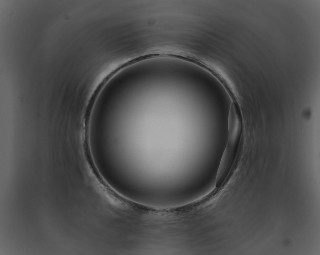 X0000091691040200708231435
