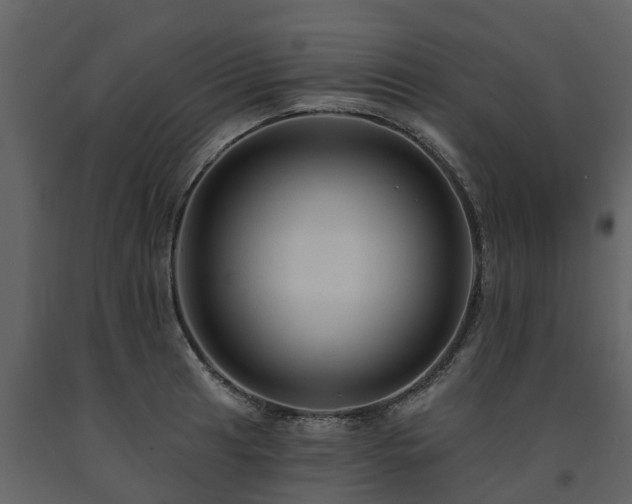 X0000091691041200708231435
