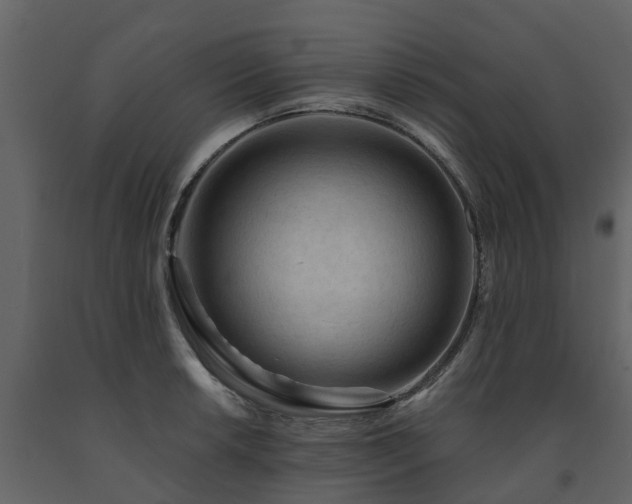 X0000091691042200708231435