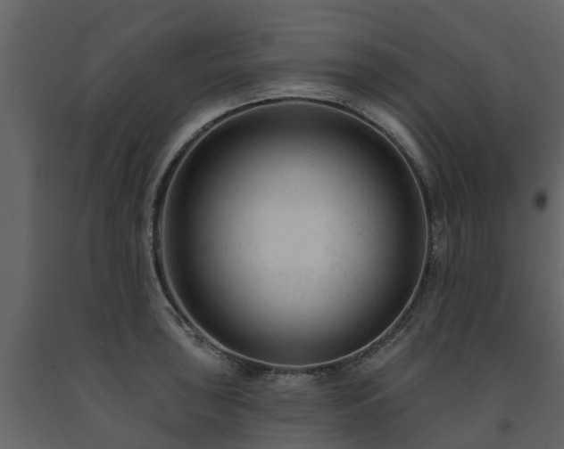 X0000091691043200708231435