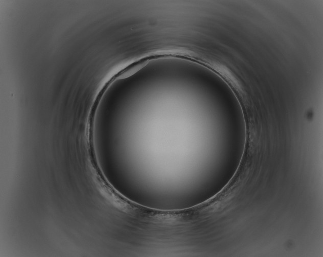 X0000091691044200708231435