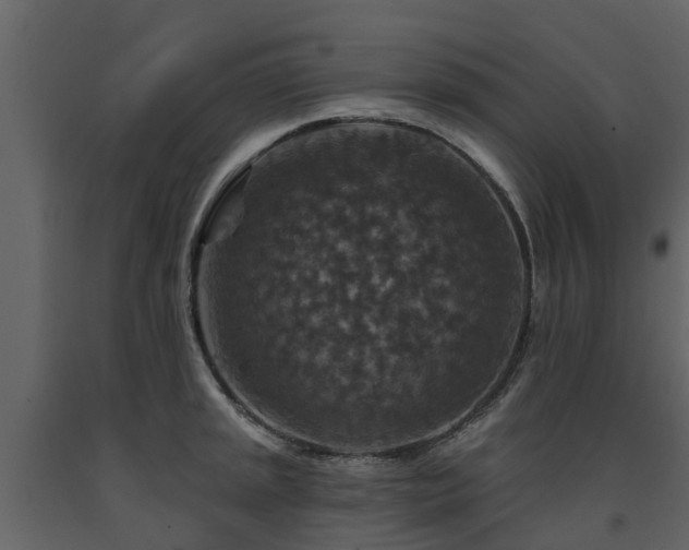 X0000091691045200708231435