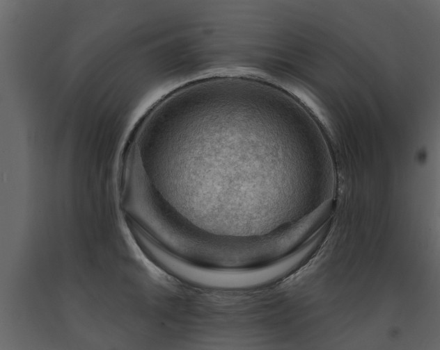 X0000091691046200708231436