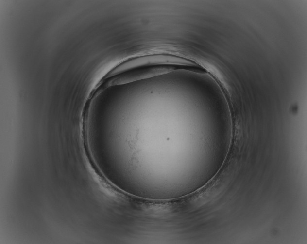 X0000091691047200708231436