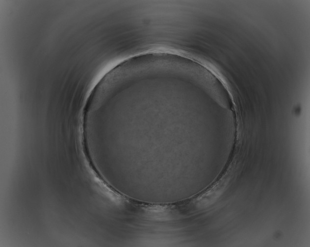 X0000091691048200708231436