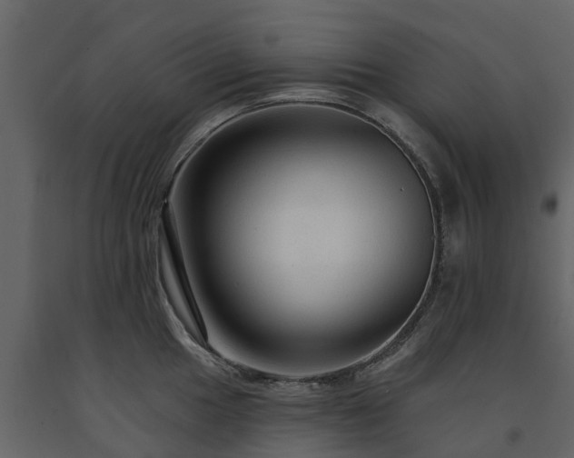 X0000091691049200708231436