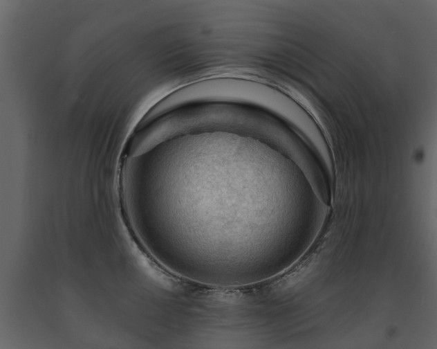 X0000091691050200708231436