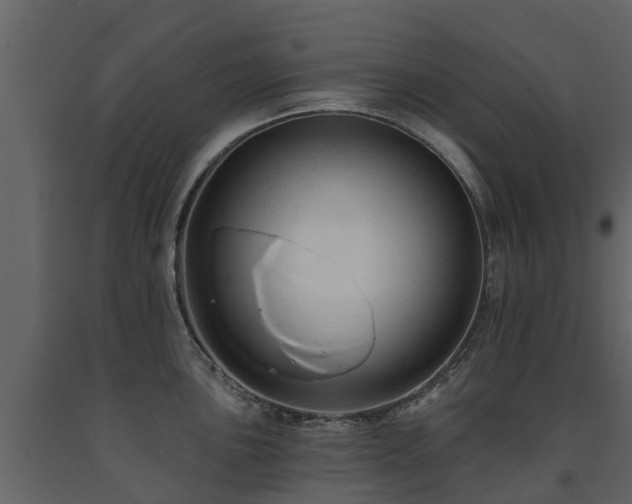 X0000091691051200708231436