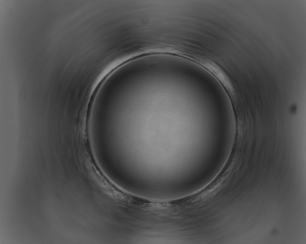X0000091691052200708231436