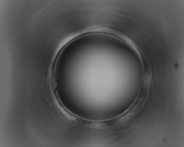 X0000091691053200708231436