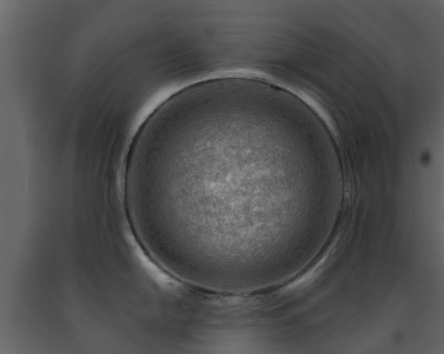 X0000091691054200708231436