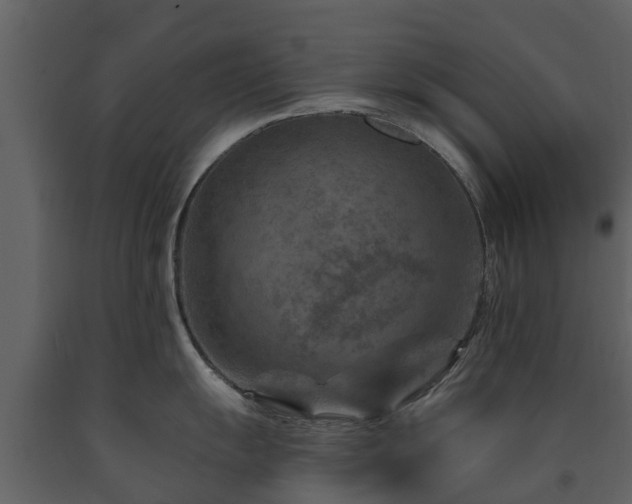 X0000091691055200708231436