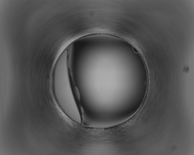 X0000091691056200708231436