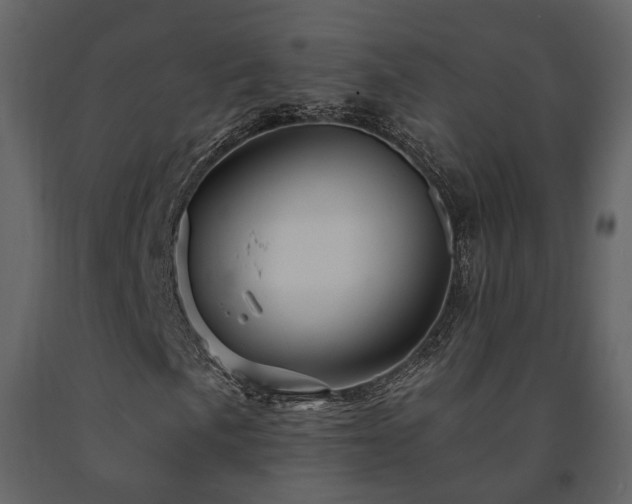 X0000091691057200708231435