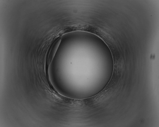 X0000091691058200708231435