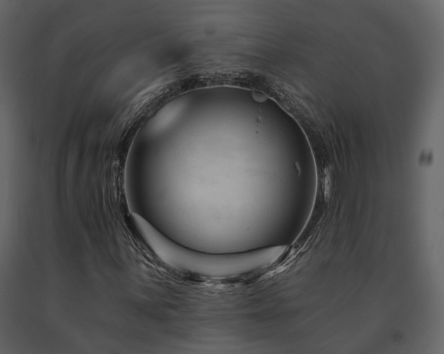 X0000091691059200708231435