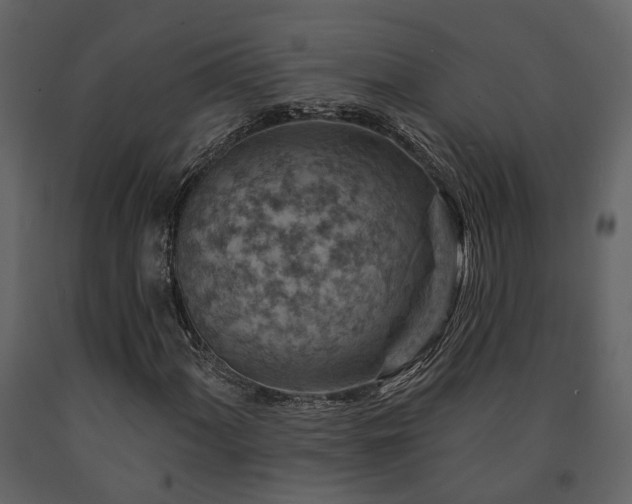 X0000091691060200708231435