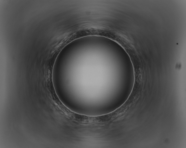 X0000091691061200708231435