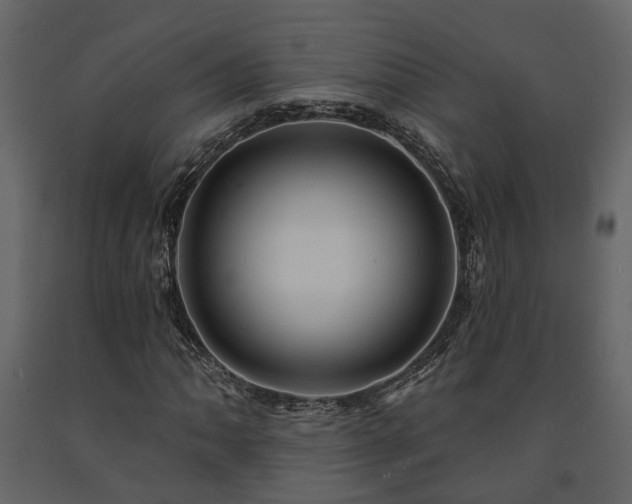X0000091691062200708231435