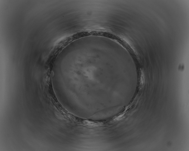 X0000091691063200708231435