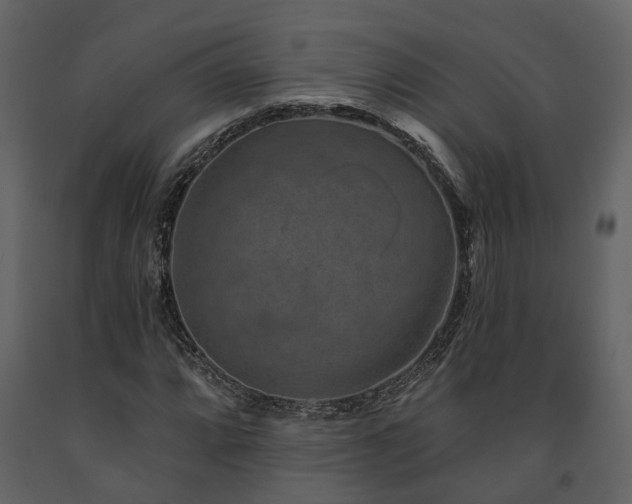 X0000091691064200708231435