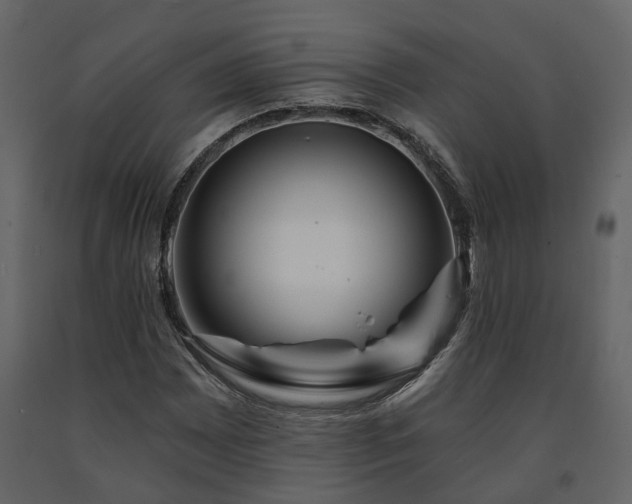X0000091691065200708231435