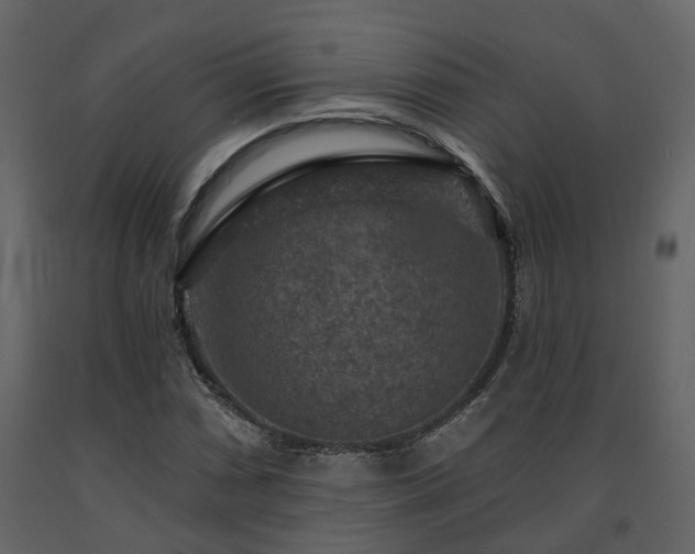 X0000091691066200708231435