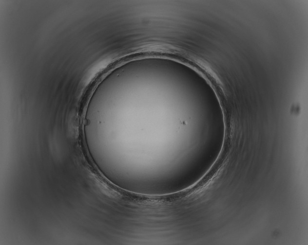 X0000091691067200708231435
