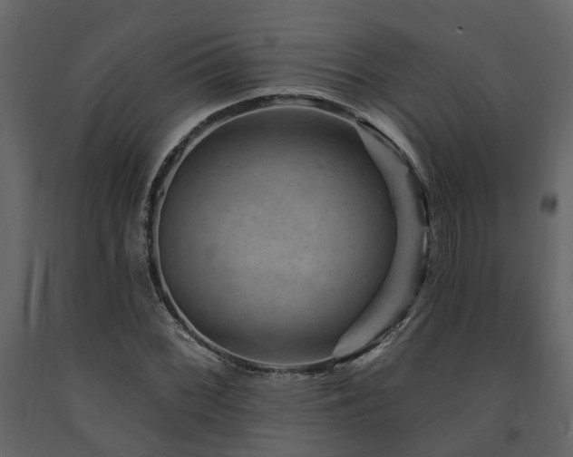 X0000091691068200708231435