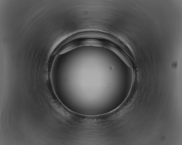 X0000091691069200708231435
