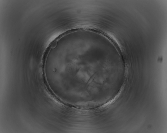 X0000091691071200708231435