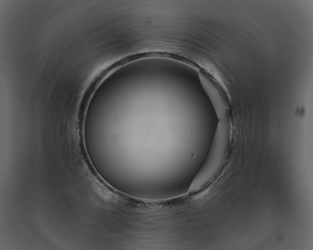 X0000091691072200708231435