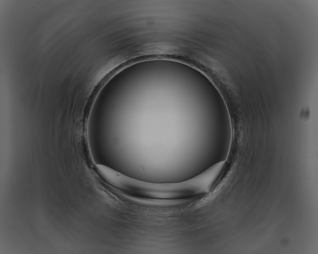 X0000091691073200708231435