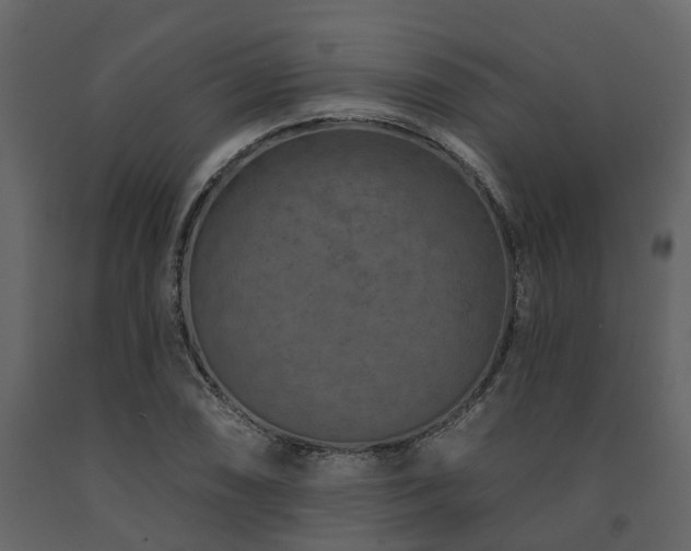 X0000091691074200708231435